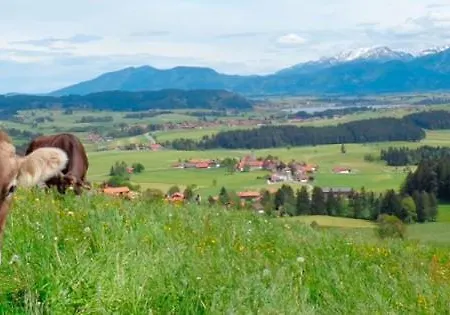 Ferienapartment Edelsbergblick Hopferau