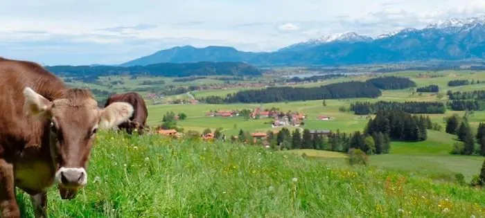 Ferienapartment Edelsbergblick Хопферау